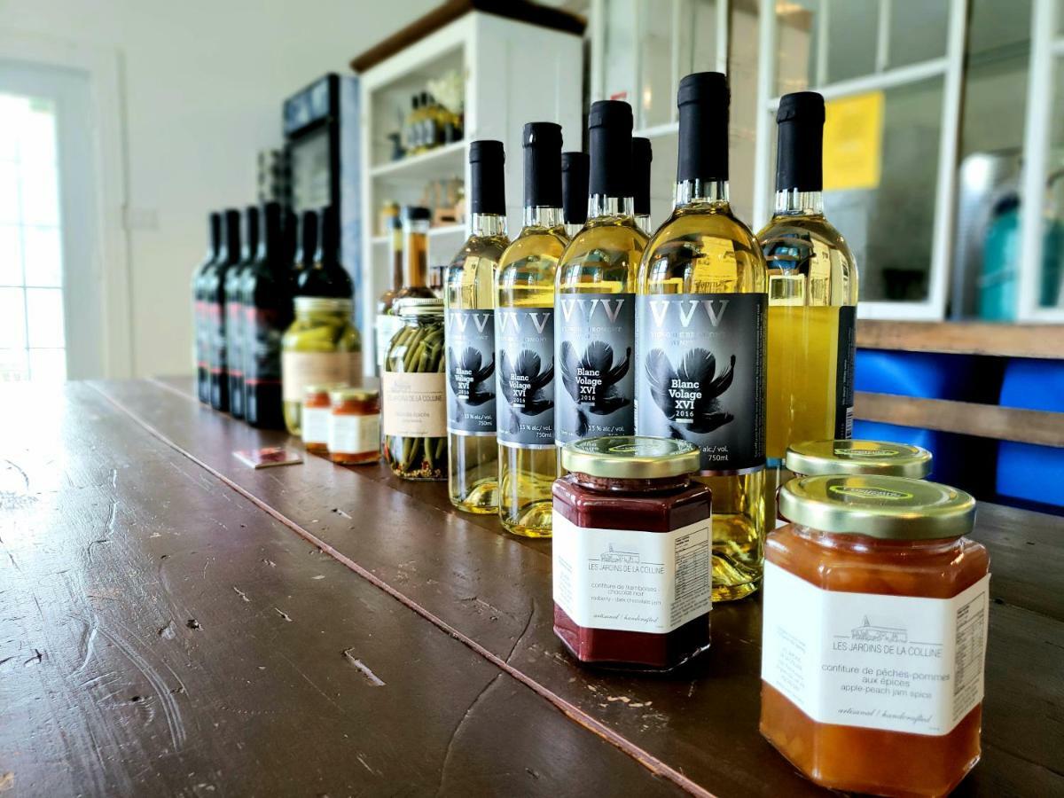 Du Vignoble